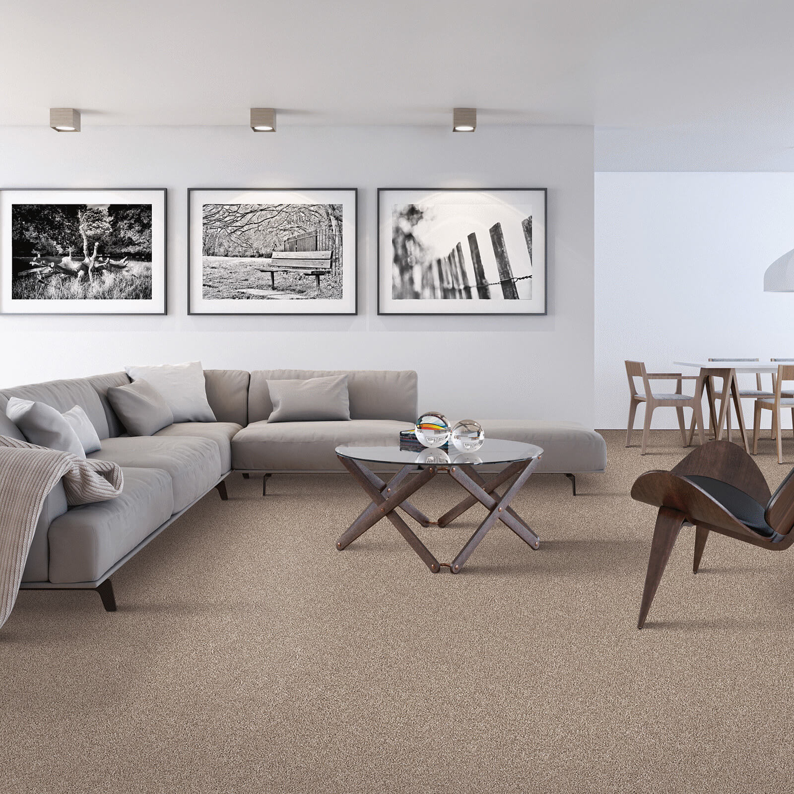 Modern living room carpet | The Flooring Center